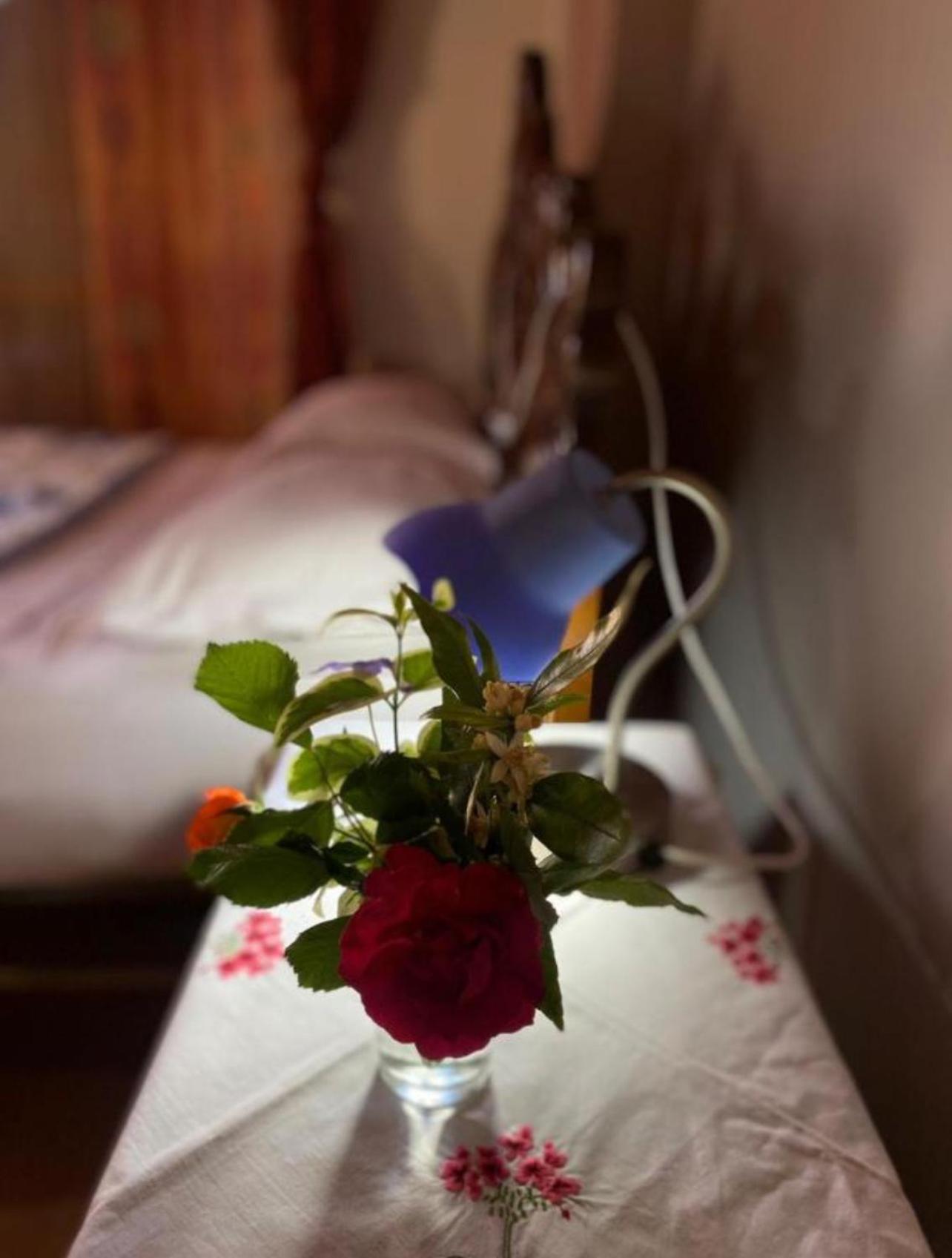 Gather Inn Guest House Шкодер Екстер'єр фото